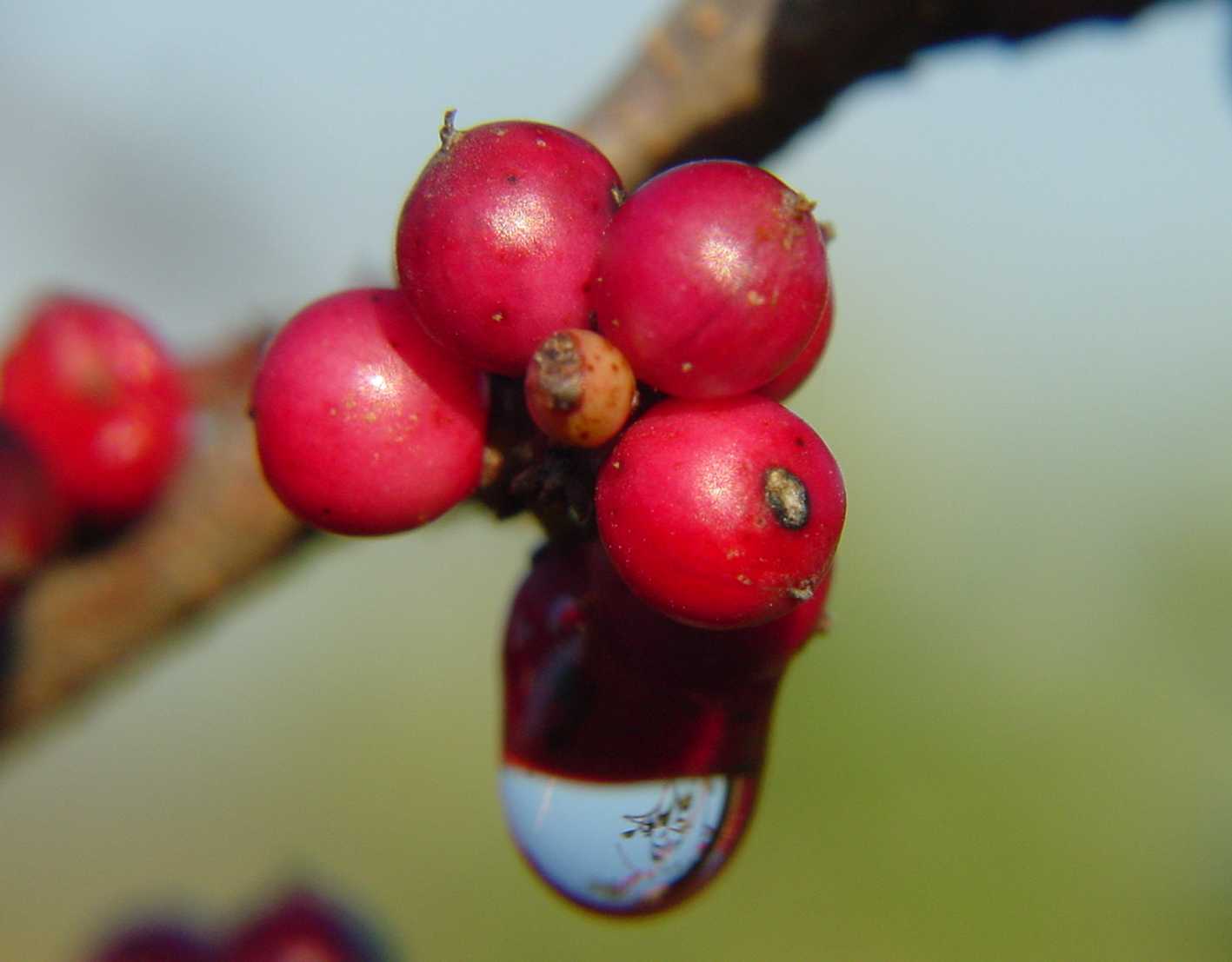 Scopriamo l''autunno